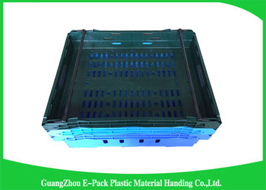 Thùng thực phẩm bằng nhựa lưới tùy chỉnh có tay cầm hoặc tay cầm tiện dụng