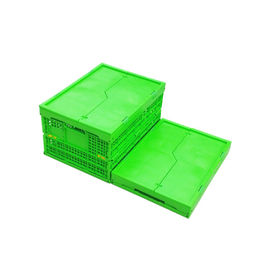 Thân lưới gấp bằng nhựa PP màu xanh lá cây tùy chỉnh + Đáy rắn