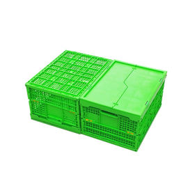 Thân lưới gấp bằng nhựa PP màu xanh lá cây tùy chỉnh + Đáy rắn