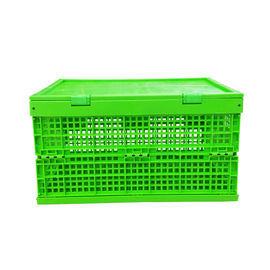 Thân lưới gấp bằng nhựa PP màu xanh lá cây tùy chỉnh + Đáy rắn