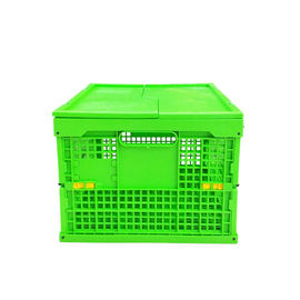 Thân lưới gấp bằng nhựa PP màu xanh lá cây tùy chỉnh + Đáy rắn