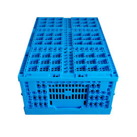 Thực phẩm tươi sống Đóng thùng nhựa có thể gập lại 600 * 400 * 240 mm Cấu trúc lưới