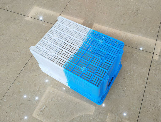 Vận chuyển hai màu Thùng nhựa lồng nhau cho trái cây và rau quả