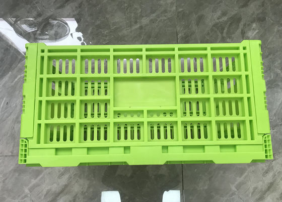 Thực phẩm cấp trái cây và rau thùng nhựa PP Trinh nữ Chiều cao 300mm