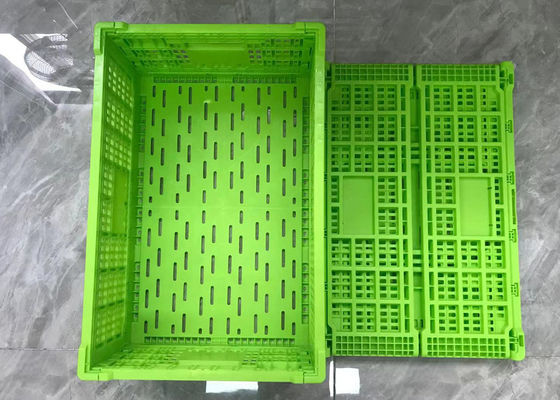 Thùng nhựa có thể gập lại màu xanh lá cây với cơ sở lưới Trọng lượng nhẹ
