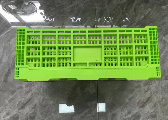 Thùng nhựa có thể gập lại màu xanh lá cây với cơ sở lưới Trọng lượng nhẹ